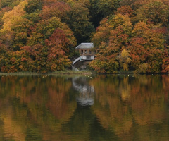 Autumn view