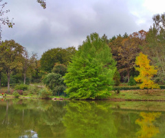 Ağaç Parkı