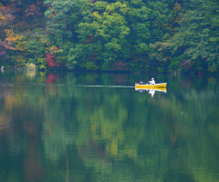 A boat