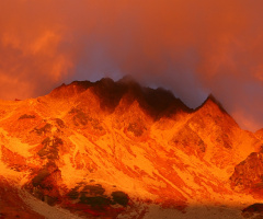 Morgenrot orange