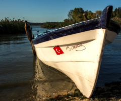 Cumhuriyetçi Sandal