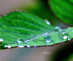 after rain 