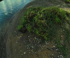 Bend in the river