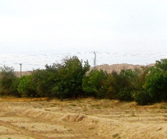 Our valley