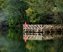yedigöllerde hazan vakti