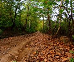 Hasret bitiren yollar 