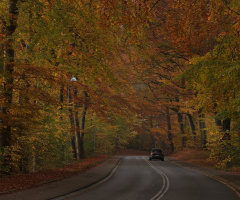 A walk in a changing landscape