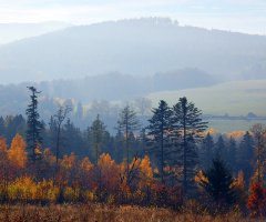 Polish golden autumn