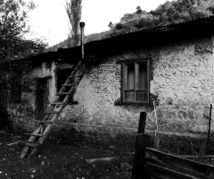 Huzurun dibine vurmak