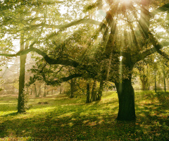 November sun