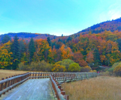 Bolu