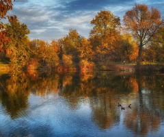 Autumn on lake