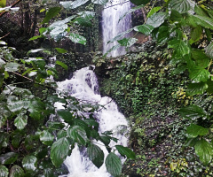 Ordu,çırçırın şelalesi