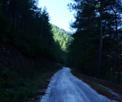 UZUN YOL-ÖMERALTI-MKPAŞA 