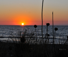 sunset at the beach 