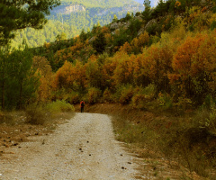 Mystrious way