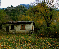 Huzurun tarifi