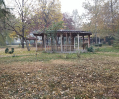Sonbahar