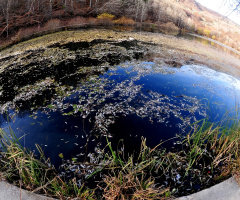 hımmm....fantastik......