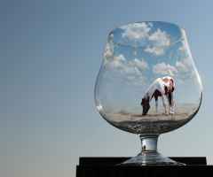 One glass, one world