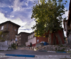 Bir Başka Gölyazı...