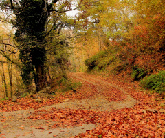 Mystrious way