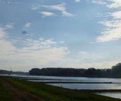 Am Rhein, Karlsruhe-Maxau (Baden-Württemberg/Germa