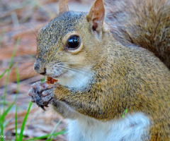 Snack time