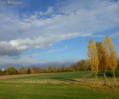 Am Rhein, Karlsruhe-Maxau (Baden-Württemberg/Germa