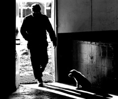 man and dog