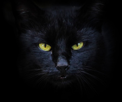 I'm watching you