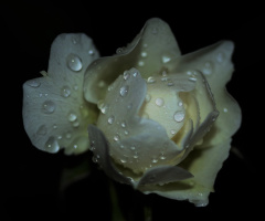 In the dark - after rain