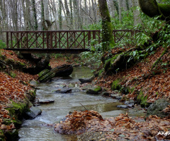 huzurun adresi