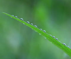 waterdrops