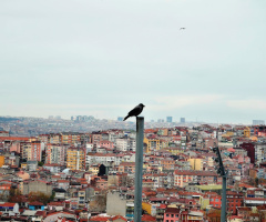 Kuş bakışı/Bird's eye view