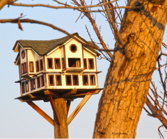 Kuş Barınakları