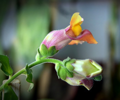 Darkness Cannot Hide The Beauty 