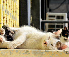 relaxed.. :) 