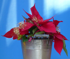 Peaceful holidays all photo friends