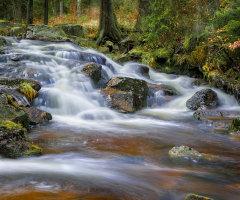 Little Waterfall