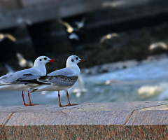 Let's wait for our turn 