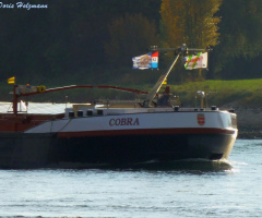 Auf dem Rhein