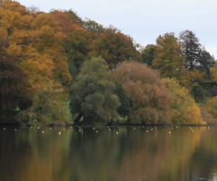 Autumn 2015