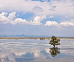 Uluabat Gölünden