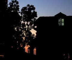 quiet evening 