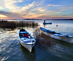 Gölyazı
