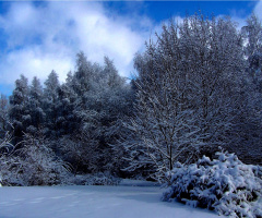 es hat geschneit 