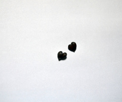 Elma çekirdeği/Apple core