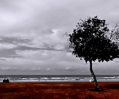 Standing Alone 