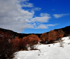 kışın...güzelliği....
